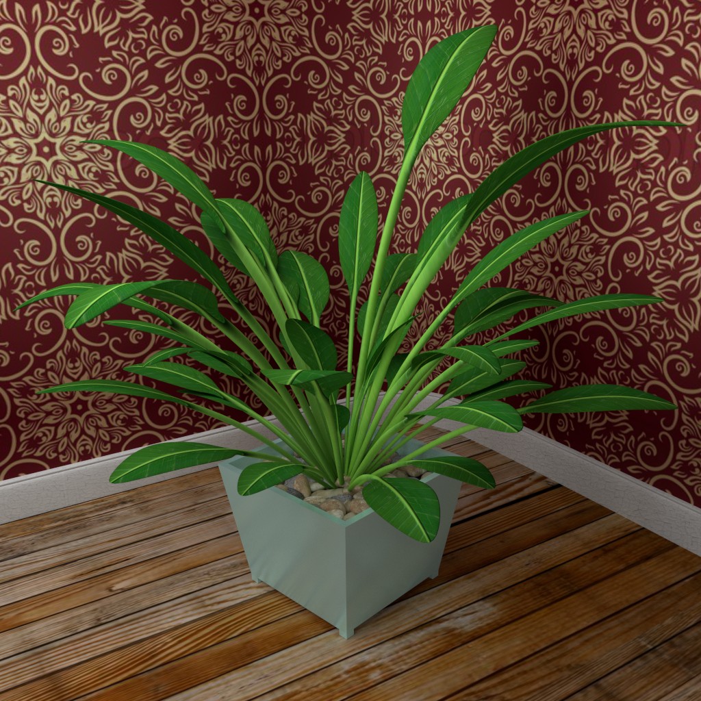 Medium indoor plant preview image 2